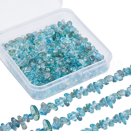 SUNNYCLUE 2 Strands Natural Apatite Chip Beads Strands G-SC0002-52-1