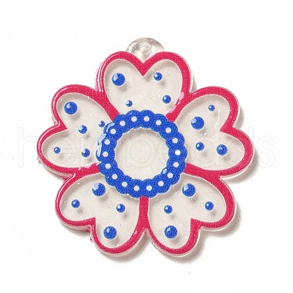 Transparent Printed Acrylic Pendants OACR-B003-02E-1