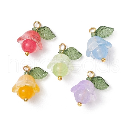 15Pcs 5 Colors Natural Malaysia Jade & White Jade Dyed Pendants PALLOY-JF02433-S-1