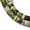 Natural Serpentine Beads Strands G-L624-I16-3x6mm-4