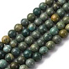 Natural Shoushan Jade Beads Strands G-L624-A01-8mm-2