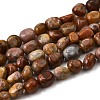 Natural Petrified Wood Beads Strands G-L621-C11-01-2