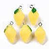 Opaque Resin Pendants RESI-T028-73-1