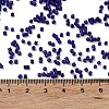 Baking Paint Glass Seed Beads SEED-S042-05B-78-4