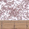 MIYUKI Delica Beads SEED-X0054-DB1166-4