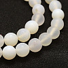 Frosted Natural White Agate Beads Strands X-G-F377-6mm-3
