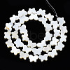 Natural Freshwater Shell Beads Strands SHEL-Q024-012-2