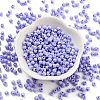 Baking Paint Glass Seed Beads X1-SEED-A032-02N-2