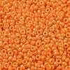 Baking Paint Glass Seed Beads SEED-P006-03A-05-3