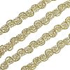 Metallic Polyester Ribbon OCOR-WH0065-07A-1