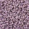 TOHO Round Seed Beads SEED-XTR11-0412F-1