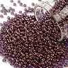 TOHO Round Seed Beads X-SEED-TR11-0202-1