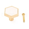 Hexagon with Marble Pattern Brass Box Handles & Knobs DIY-P054-C02-1