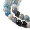 Natural Trolleite Beads Strands G-NH0002-B01-05-3