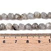 Natural Grey Labradorite Beads Strands G-T138-225-5