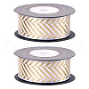 Polyester Satin Ribbon OCOR-TAC0001-10B-13