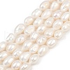 Natural Cultured Freshwater Pearl Beads Strands PEAR-P064-20K-02A-2