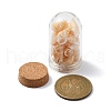 Glass Dome Bottle Display Decorations AJEW-JD00008-03-3