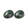 Natural Malachite Cabochons G-E464-42O-3