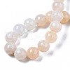 Natural Crackle Agate Beads Strands G-S359-240B-2-4