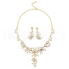 Flower Alloy & Plastic Pearl & Crystal Rhinestone Pendant Necklaces & Stud Dangle Earrings Sets FS-WG18295-02-2