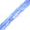 Natural Freshwater Shell Beads Strands SHEL-G013-01-2