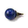 Natural Lapis Lazuli Round Pendants with Alloy Witch Hat G-D311-01AB-02-2