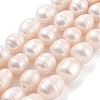 Natural Cultured Freshwater Pearl Beads Strands PEAR-P062-11B-2