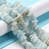 Natural Aquamarine Chip Beads Strands G-M406-A01-3