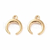 304 Stainless Steel Charms STAS-B024-27G-1