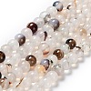 Natural Dendritic Agate Beads Strands G-D845-04-8mm-2