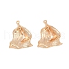 Brass Pendants KK-G532-09G-1