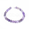 Natural Amethyst Beads Strands G-G791-11-B01-2