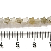 Natural Labradorite Beads Strands G-G085-B25-01-4