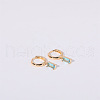 Brass Micro Pave Cubic Zirconia Hoop Earrings WGF8540-03-1