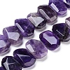 Natural Amethyst Beads Strands G-I283-B01-1