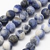 Natural Sodalite Beads Strands X-G-D691-6mm-1