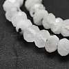 Natural Rainbow Moonstone Beads Strands G-O170-67C-3