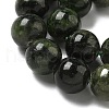 Natural Green Diopside Beads Strands G-K382-B01-03-4