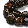 Natural Dalmatian Jasper Beads Strands G-C038-02A-04-4