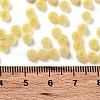 Glass Seed Beads X1-SEED-M011-02A-21-4