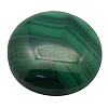 Natural Malachite Cabochons X-MALA-20D-6-1