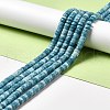 Natural Gemstone Beads Strands G-F730-03B-2