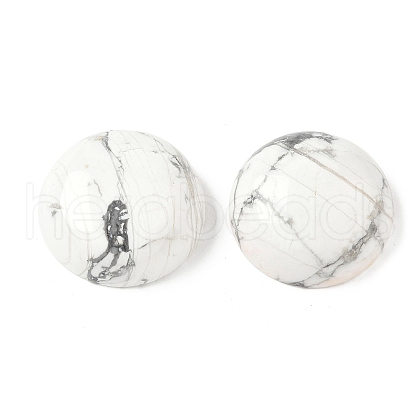 Natural Howlite Cabochons G-C189-04A-1