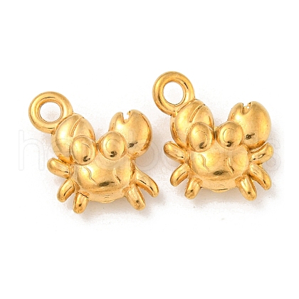 Ion Plating(IP) 304 Stainless Steel Charms STAS-N103-81G-1