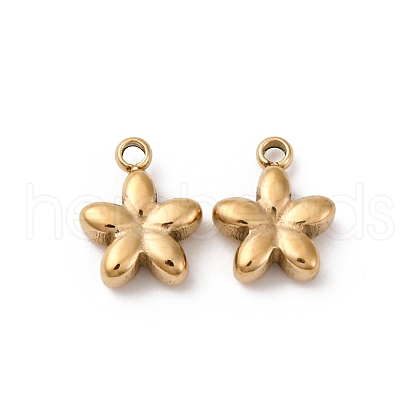 304 Stainless Steel Charms STAS-L022-521G-1