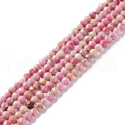 Natural Imperial Jasper Beads Strands G-L578-A06-1