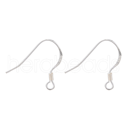 925 Sterling Silver Earring Hooks STER-K167-049B-S-1