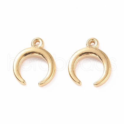 304 Stainless Steel Charms STAS-B024-27G-1