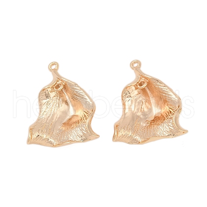 Brass Pendants KK-G532-09G-1
